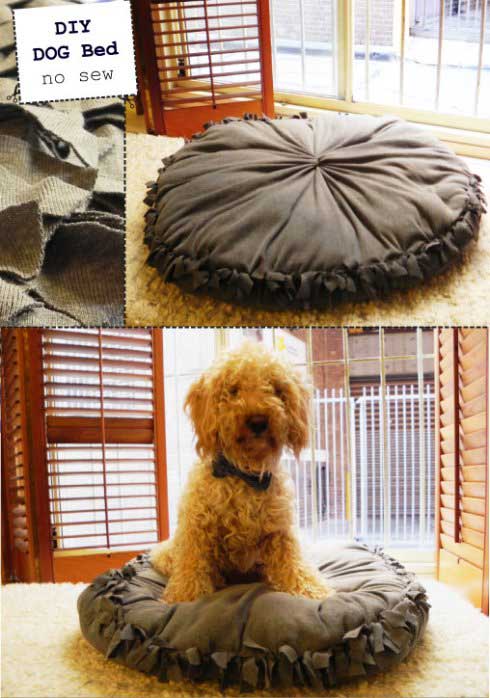 Top 27 DIY Ideas How to Make a Perfect Living Space for Pets ...