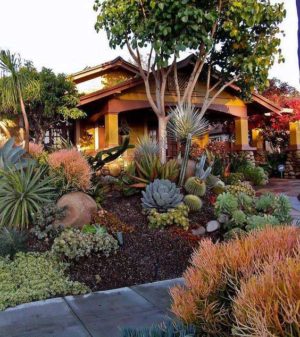 32 Stunning Low-Water Landscaping Ideas for Your Garden