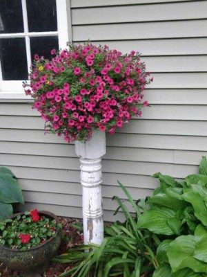 30 Best Front Door Flower Pots To Liven Up Your Home With 