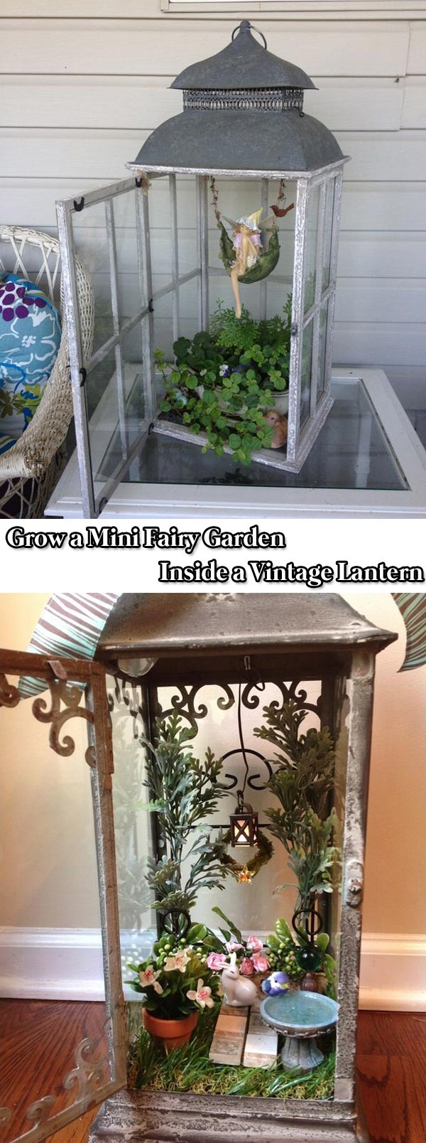 Grow a Mini Fairy Garden Inside a Vintage Lantern