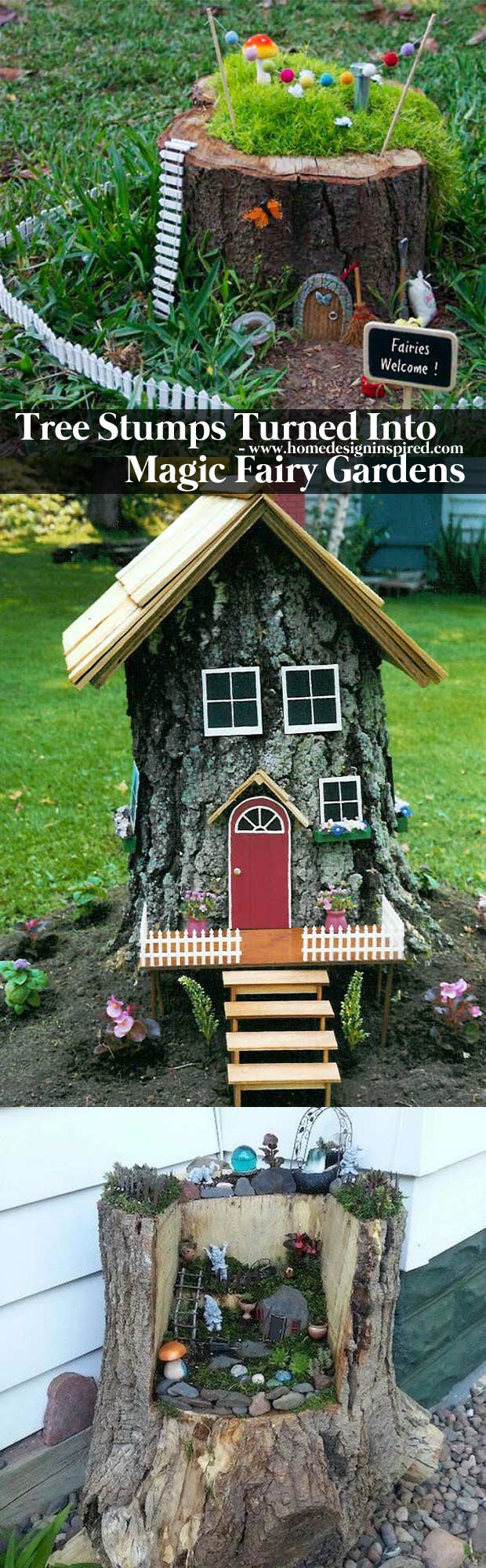 Tree stumps turned into magic fairy houses