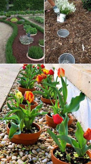 23 Insanely Clever Gardening Ideas on Low Budget - HomeDesignInspired