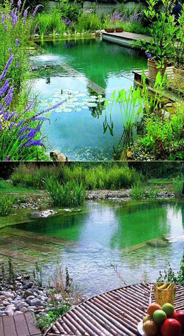 Natural Swimming Pool Ideas How To Tips And Pictures